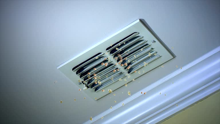 Best Air Duct Cleaning Near Me in UT